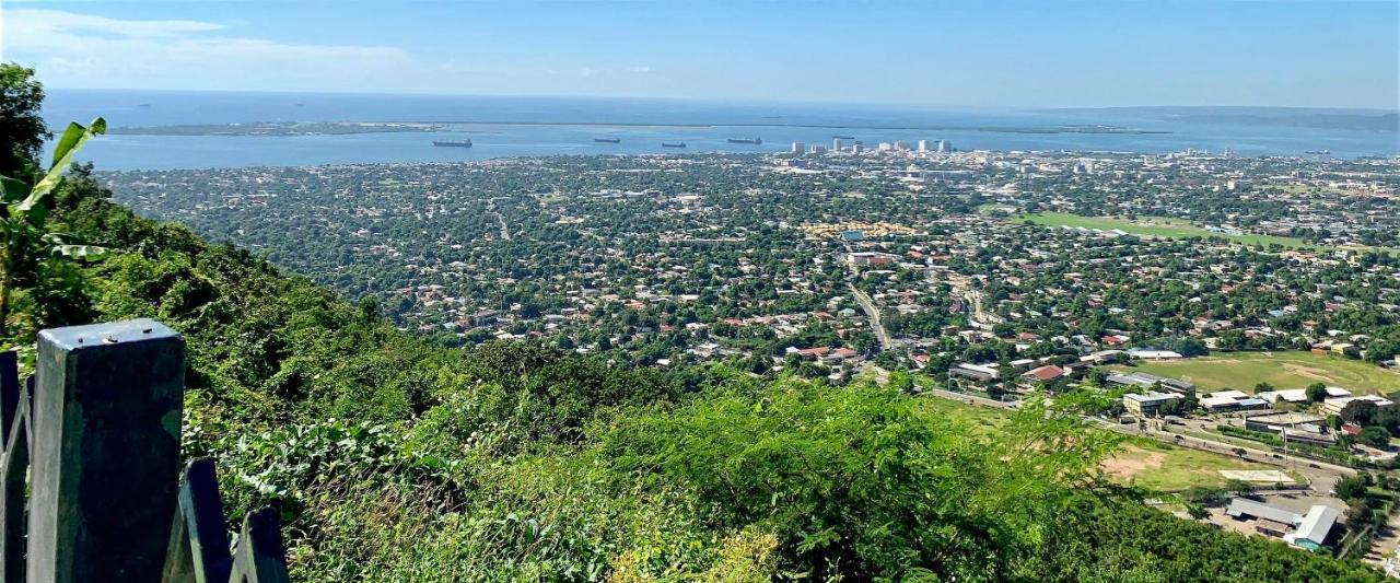 Bella Vista Villa Kingston Bagian luar foto