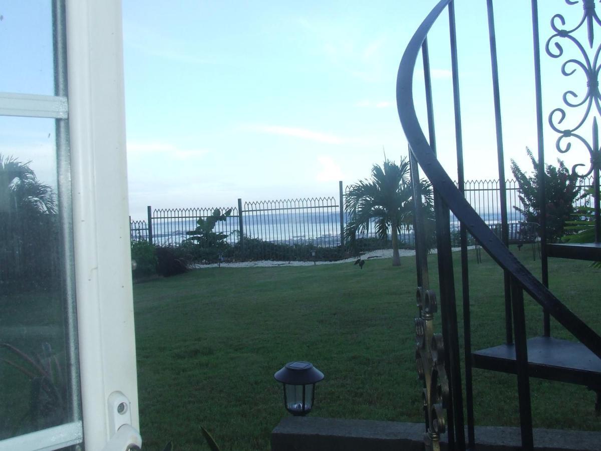 Bella Vista Villa Kingston Bagian luar foto