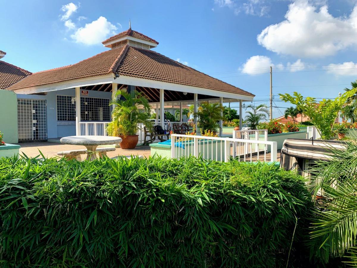 Bella Vista Villa Kingston Bagian luar foto